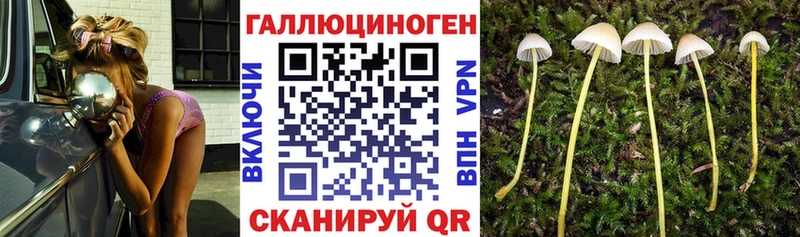 Псилоцибиновые грибы GOLDEN TEACHER  Апрелевка 
