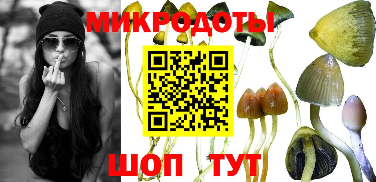 Галлюциногенные грибы MAGIC MUSHROOMS Апрелевка