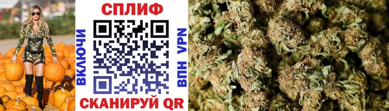 где найти   площадка телеграм  Каннабис VHQ  Апрелевка 